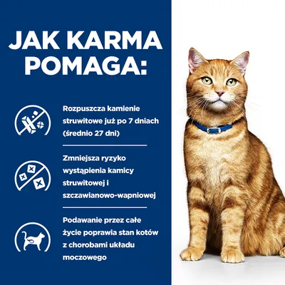 Jak karma pomaga: rozpuszcza kamienie struwitowe po 7 dniach, zmniejsza ryzyko kamicy, poprawia stan kotów z chorobami układu moczowego. Tekst w języku polskim.