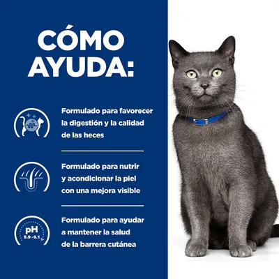 Texto: Cómo ayuda. Formulado para favorecer la digestión y la calidad de las heces, nutrir y acondicionar la piel con mejora visible, mantener la salud de la barrera cutánea. Gato gris.
