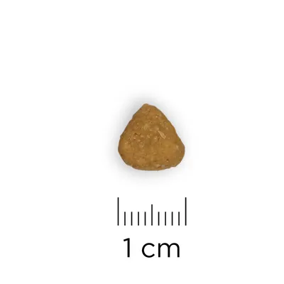 Enkele brok honden- of kattenvoer met liniaal; afmeting circa 1 cm zichtbaar aangegeven.
