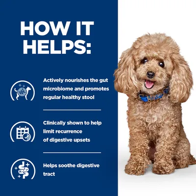 How it helps: nourishes gut microbiome and promotes healthy stool, clinically shown to limit digestive upsets recurrence, helps soothe digestive tract. Poodle shown beside text.