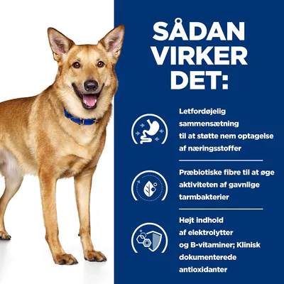 SÅDAN VIRKER DET: Letfordøjelig sammensætning til at støtte nem optagelse af næringsstoffer. Præbiotiske fibre til at øge aktiviteten af gavnlige tarmbakterier. Højt indhold af elektrolytter og B-vitaminer; Klinisk dokumenterede antioxidanter.