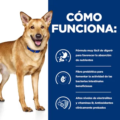 CÓMO FUNCIONA: Fórmula muy fácil de digerir para favorecer la absorción de nutrientes. Fibra prebiótica para fomentar la actividad de las bacterias intestinales beneficiosas. Altos niveles de electrolitos y vitaminas B; Antioxidantes clínicamente probados. CÓMO FUNCIONA: Fórmula muy fácil de digerir para favorecer la absorción de nutrientes. Fibra prebiótica para fomentar la actividad de las bacterias intestinales beneficiosas. Altos niveles de electrolitos y vitaminas B; Antioxidantes clínicamente probados.