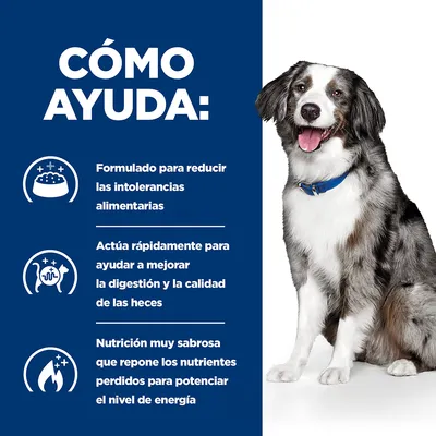 Texto: Cómo ayuda. Formulado para reducir las intolerancias alimentarias. Mejora la digestión y la calidad de las heces. Nutrición sabrosa que repone nutrientes y potencia energía. Perro sentado.
