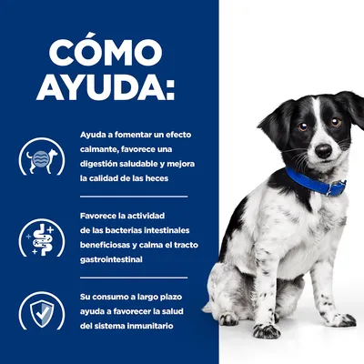Texto: Cómo ayuda. Efecto calmante, favorece digestión saludable y calidad de heces. Favorece bacterias intestinales beneficiosas. Ayuda a la salud del sistema inmunitario.