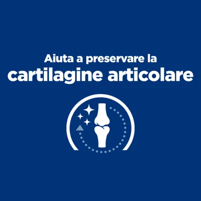 Aiuta a preservare la cartilagine articolare