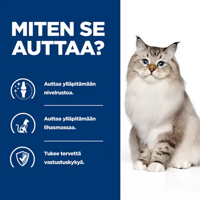 MITEN SE AUTTAA? Auttaa ylläpitämään nivelrustoa. Auttaa ylläpitämään lihasmassaa. Tukee tervettä vastustuskykyä. Kuvassa myös pitkäkarvainen kissa.