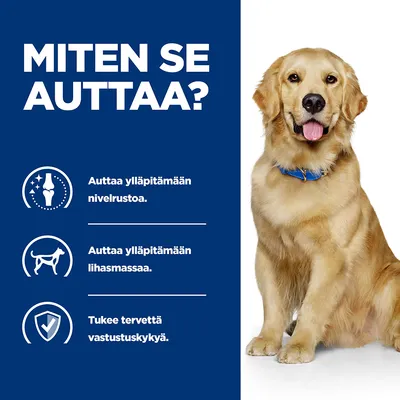 Teksti: Miten se auttaa? Auttaa ylläpitämään nivelrustoa. Auttaa ylläpitämään lihasmassaa. Tukee tervettä vastustuskykyä. Kuvassa istuva koira sinisellä taustalla.