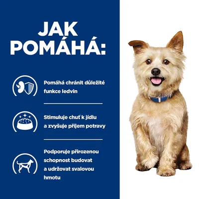 Text v češtine: Jak pomáhá – Pomáhá chránit důležité funkce ledvin, stimuluje chuť k jídlu a zvyšuje příjem potravy, podporuje schopnost budovať a udržovat svalovou hmotu.