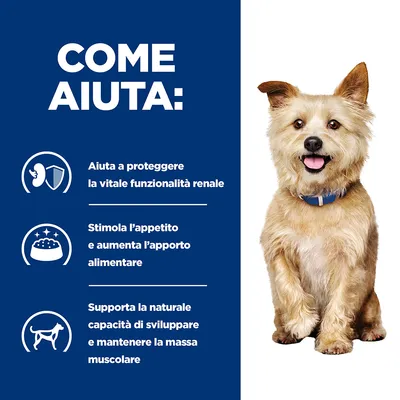 COME AIUTA: Aiuta a proteggere la vitale funzionalità renale, stimola l’appetito e aumenta l’apporto alimentare, supporta la naturale capacità di sviluppare e mantenere la massa muscolare.