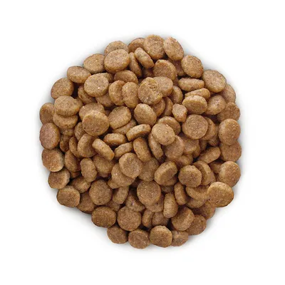 Кръгли гранули суха храна за домашни любимци, кафяв цвят, без видима опаковка или марка.