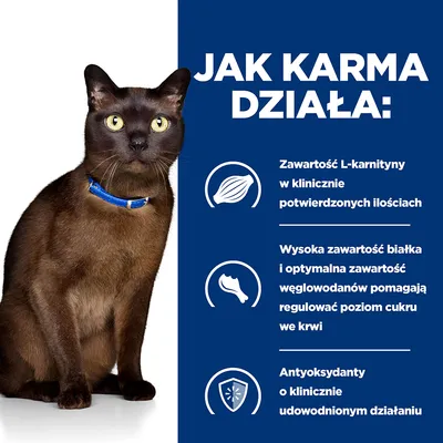 Jak karma działa: zawartość L-karnityny w klinicznie potwierdzonych ilościach, wysoka zawartość białka i optymalna węglowodanów, antyoksydanty o udowodnionym działaniu.