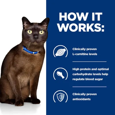 HOW IT WORKS: Clinically proven L-carnitine levels, High protein and optimal carbohydrate levels help regulate blood sugar, Clinically proven antioxidants (angol nyelvű szöveg)