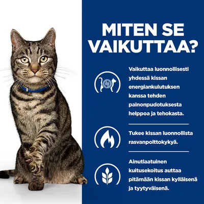 MITEN SE VAIKUTTAA? Vaikuttaa luonnollisesti yhdessä kissan energiankulutuksen kanssa, tukee rasvanpolttokykyä ja ainutlaatuinen kuitusekoitus auttaa pitämään kissan kylläisenä.