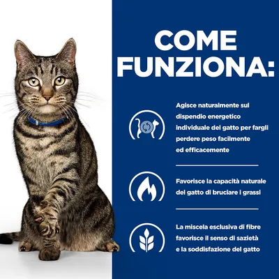 COME FUNZIONA: Agisce naturalmente sul dispendio energetico del gatto per perdere peso, favorisce la capacità di bruciare i grassi e il senso di sazietà grazie a una miscela esclusiva di fibre.