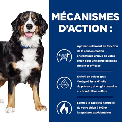 MÉCANISMES D’ACTION : Agit selon la consommation énergétique du chien, enrichi en Oméga-3 d’huile de poisson, glucosamine, chondroïtine sulfate, stimule la combustion des graisses.