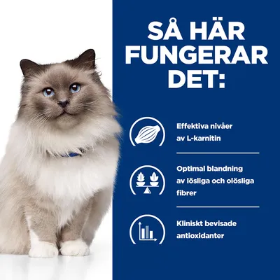 Så här fungerar det: Effektiva nivåer av L-karnitin, optimal blandning av lösliga och olösliga fibrer, kliniskt bevisade antioxidanter. Bild på katt till vänster.