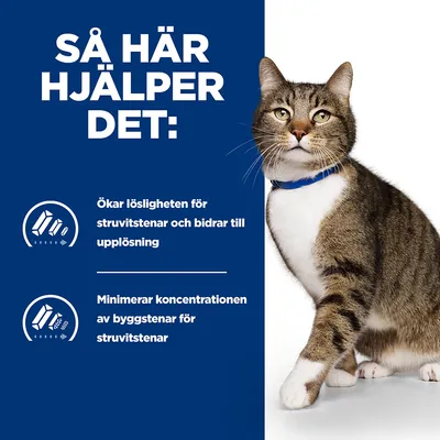 Så här hjälper det: Ökar lösligheten för struvitstenar och bidrar till upplösning. Minimerar koncentrationen av byggstenar för struvitstenar.