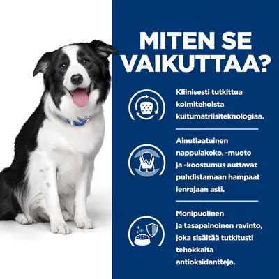 Miten se vaikuttaa? Kliinisesti tutkittua kolmitehoista kuitumatriisiteknologiaa. Ainutlaatuinen nappulakoko, -muoto ja -koostumus auttavat puhdistamaan hampaat ienrajaan asti. Monipuolinen ja tasapainoinen ravinto, joka sisältää tutkitusti tehokkaita antioksidantteja.