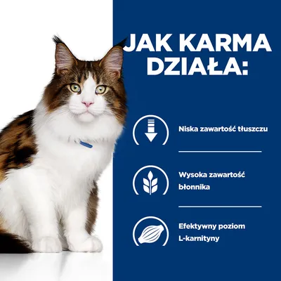 Jak karma działa: niska zawartość tłuszczu, wysoka zawartość błonnika, efektywny poziom L-karnityny.