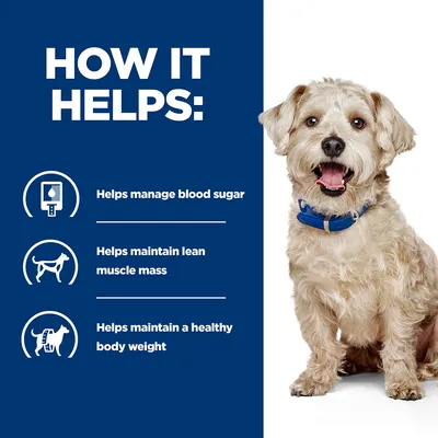 How it helps: helps manage blood sugar, helps maintain lean muscle mass, helps maintain a healthy body weight.