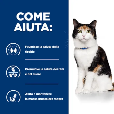 COME AIUTA: Favorisce la salute della tiroide. Promuove la salute dei reni e del cuore. Aiuta a mantenere la massa muscolare magra.