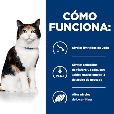 Cómo funciona: Niveles limitados de yodo. Niveles reducidos de fósforo y sodio, con ácidos grasos omega-3 de aceite de pescado. Altos niveles de L-carnitina.