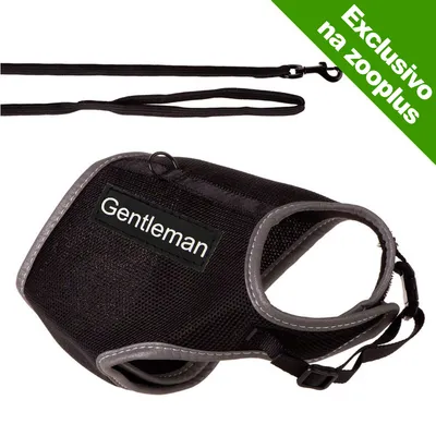 Peitoral preto com etiqueta 'Gentleman' e trela preta incluída. Texto visível: 'Exclusivo na zooplus'. Peitoral preto com etiqueta 'Gentleman' e trela preta incluída. Texto visível: 'Exclusivo na zooplus'.