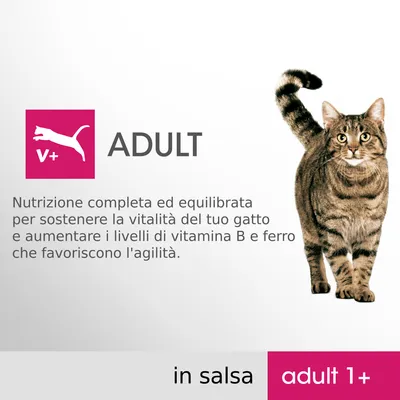 ADULT V+ in salsa adult 1+. Nutrizione completa ed equilibrata per gatti adulti, con vitamina B e ferro per vitalità e agilità. Immagine di un gatto tigrato.
