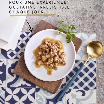 Assiette de nourriture humide en morceaux avec sauce, posée sur une planche en bois. Texte visible : « Pour une expérience gustative irrésistible chaque jour ».