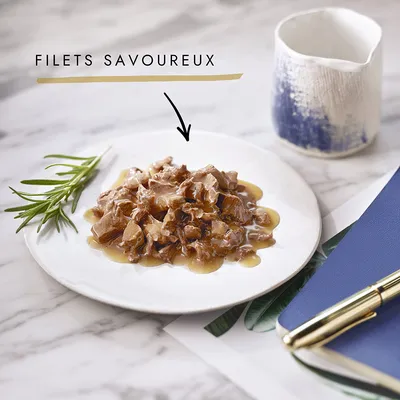 Assiette de filets en sauce avec texte « FILETS SAVOUREUX » au-dessus, branche de romarin à gauche, carnet bleu et stylo doré à droite sur une table en marbre.