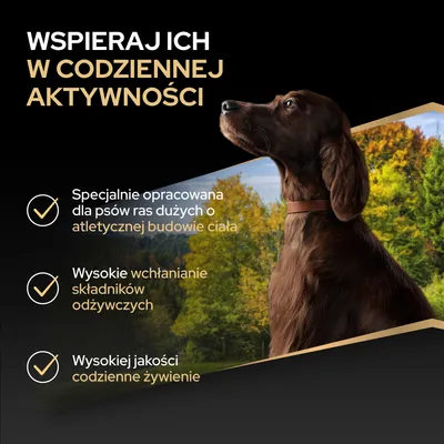Specjalnie opracowana dla dużych psów o atletycznej wielkości zwierzęcia, wysoka przyswajalność składników odżywczych, wysokiej jakości codzienne żywienie. Specjalnie opracowana dla dużych psów o atletycznej wielkości zwierzęcia, wysoka przyswajalność składników odżywczych, wysokiej jakości codzienne żywienie.