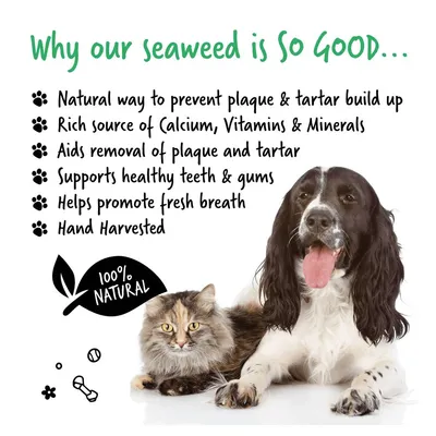 Seaweed benefits listed: prevents plaque and tartar, rich in calcium, vitamins and minerals, aids removal of plaque, supports healthy teeth and gums, promotes fresh breath, hand harvested, 100% natural.