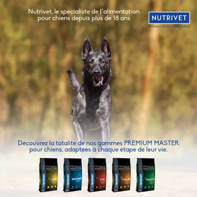 Nutrivet PREMIUM MASTER pour chiens : Junior, Maintenance, Active, Large Dog, Silhouette. Texte visible : Nutrivet, spécialiste de l’alimentation pour chiens depuis plus de 18 ans.