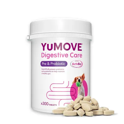 YuMOVE Digestive Care Pre & Probiotic, 300 tablets. Scientifically proven prebiotics and probiotics to help maintain a healthy gut. Powered by ActivBio.
