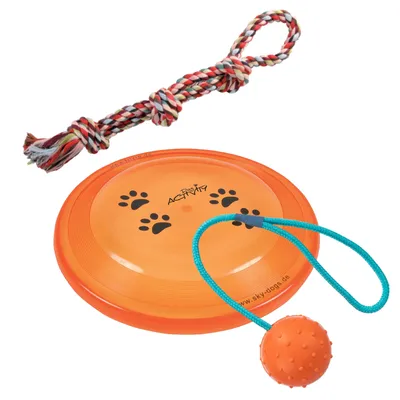 Set mit orangefarbener Frisbee-Scheibe mit Pfotenabdrücken und Aufschrift 'Dog Activity', Kauspielzeug aus Seil und Ball mit blauer Schnur.