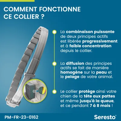 Seresto – Comment fonctionne ce collier ? Libération progressive de deux principes actifs à faible concentration, diffusion homogène sur la peau et le pelage, protection 7 à 8 mois.
