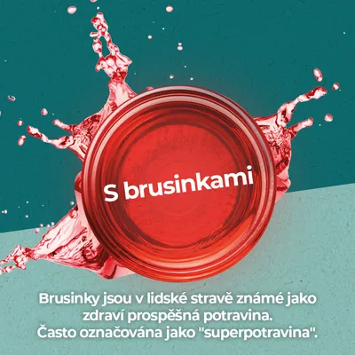 S brusinkami. Brusinky jsou v lidské stravě známé jako zdraví prospěšná potravina. Často označována jako 'superpotravina'. Text v češtine.