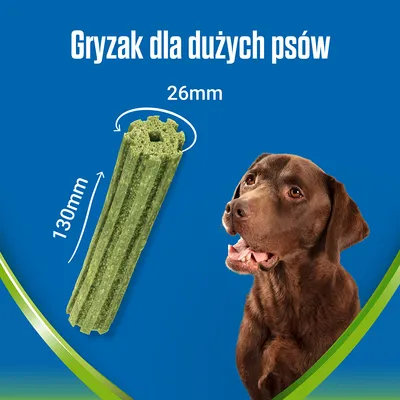 Gryzak dla dużych psów, długość 130 mm, średnica 26 mm, widoczny zielony gryzak i brązowy pies na niebieskim tle.