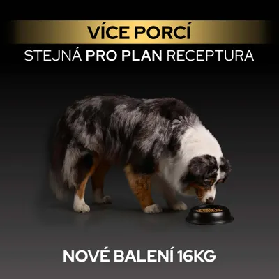 PRO PLAN receptúra, nové balenie 16 kg, viac porcií. Pes žerie z misky. PRO PLAN receptúra, nové balenie 16 kg, viac porcií. Pes žerie z misky.