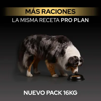 Más porciones, misma receta Pro Plan, nuevo paquete de 16 kg. Perro come del cuenco. Más porciones, misma receta Pro Plan, nuevo paquete de 16 kg. Perro come del cuenco.