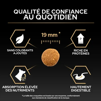 Croquettes de 19 mm de diamètre, sans colorants, riches en protéines, absorption élevée des nutriments, facilement digestibles. Qualité de confiance au quotidien.