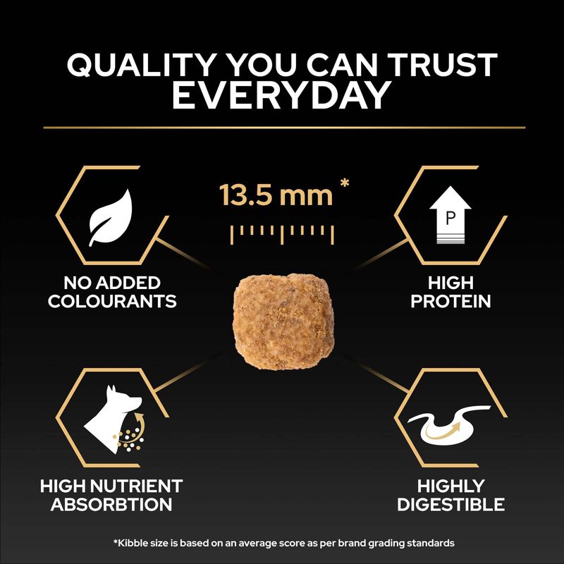 PURINA PRO PLAN All Sizes Adult Performance