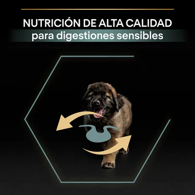 Texto: Nutrición de alta calidad para digestiones sensibles. Imagen de un cachorro con icono de estómago y flechas, sobre fondo negro.
