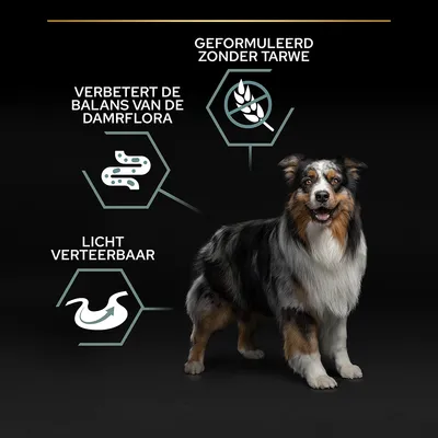Tekst: Geformuleerd zonder tarwe, verbetert de balans van de darmflora, licht verteerbaar. Afbeelding van een hond naast drie icoontjes die deze eigenschappen illustreren.