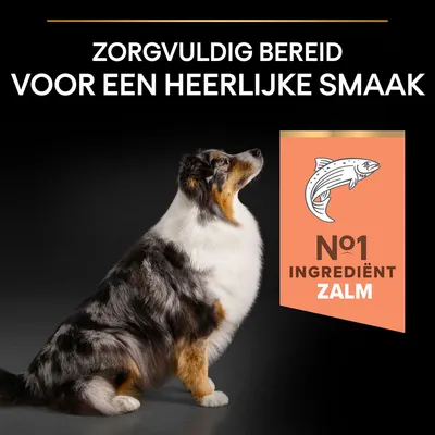 Zorgvuldig bereid voor een heerlijke smaak. Nr 1 ingrediënt zalm.