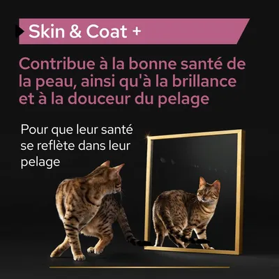 Skin & Coat + Contribue à la bonne santé de la peau, ainsi qu'à la brillance et à la douceur du pelage. Pour que leur santé se reflète dans leur pelage.