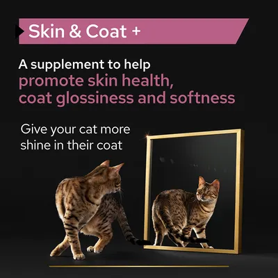 Skin & Coat +. A supplement to help promote skin health, coat glossiness and softness. Give your cat more shine in their coat. Szöveg angol nyelven.