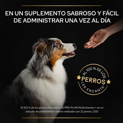 Texto: En un suplemento sabroso y fácil de administrar una vez al día. Al 100 % de los perros les encanta. El 100 % de los perros disfrutaron de PRO PLAN Multivitamins + en estudio interno 2021.
