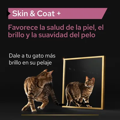 Skin & Coat +. Favorece la salud de la piel, el brillo y la suavidad del pelo. Dale a tu gato más brillo en su pelaje.