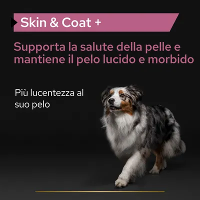 Skin & Coat +. Supporta la salute della pelle e mantiene il pelo lucido e morbido. Più lucentezza al suo pelo.